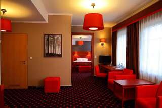 Отель Hotel Panorama Мщонув Улучшенный номер с кроватью размера «queen-size»-3